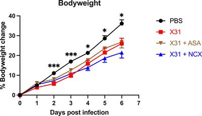 Low dose aspirin prevents endothelial dysfunction in the aorta and foetal loss in pregnant mice infected with influenza A virus